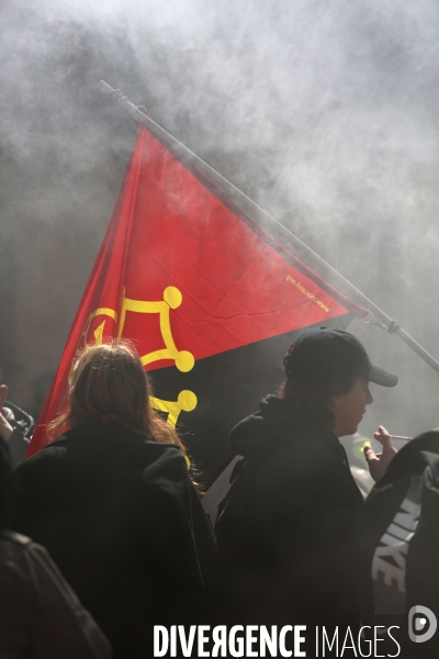 Toulouse : 11eme journee de mobilisation contre la reforme des retraites