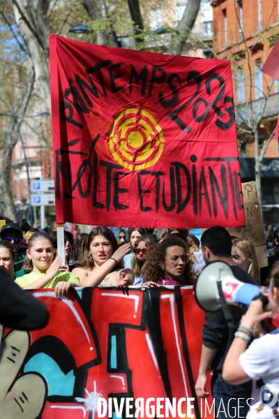 Toulouse : 11eme journee de mobilisation contre la reforme des retraites