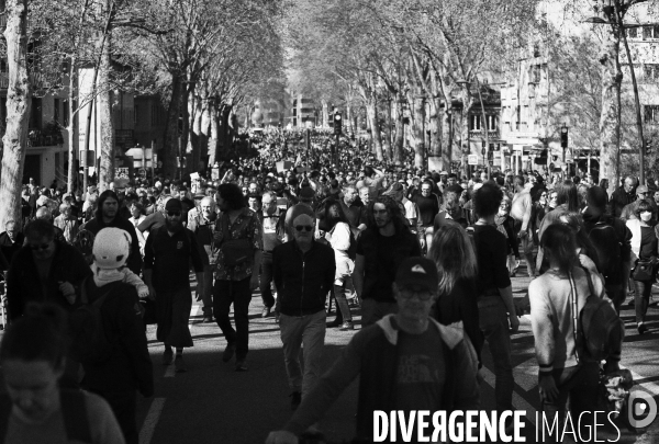 Toulouse : 11eme journee de mobilisation contre la reforme des retraites