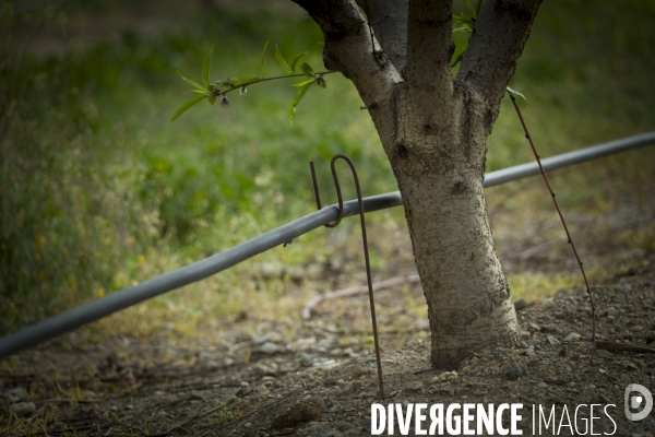 Guerre de l eau: Premiere manifestation agricole