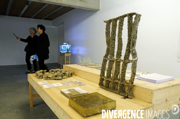 Exposition Sedimental 4, art et géologie du futur.Fabrique Pola.