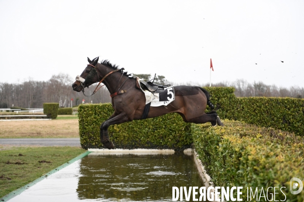 Cheval qui saute sans son cavalier