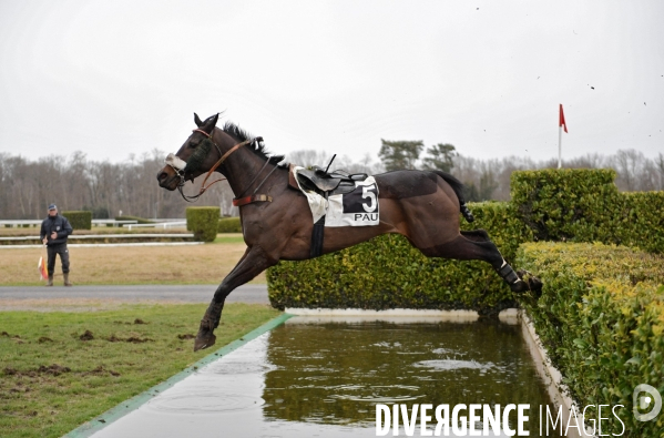 Cheval qui saute sans son cavalier