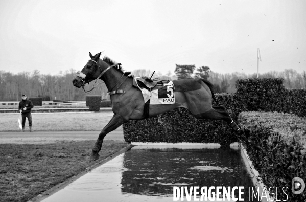 Cheval qui saute sans son cavalier