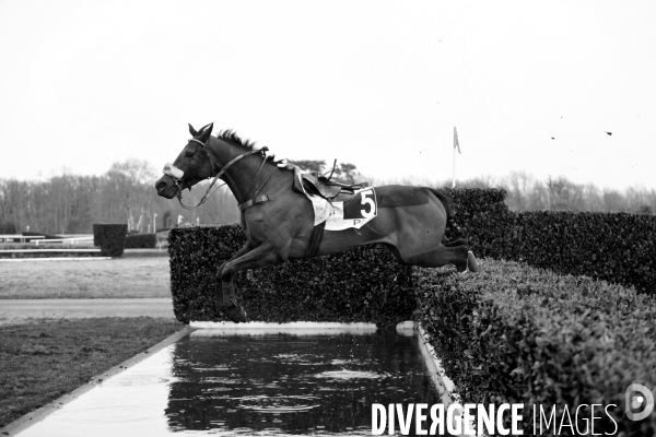 Cheval qui saute sans son cavalier