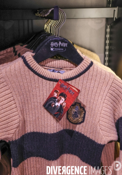 Exposition harry potter a paris