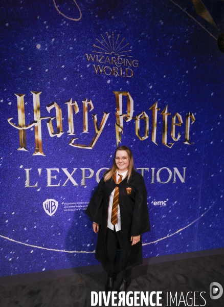 Exposition harry potter a paris