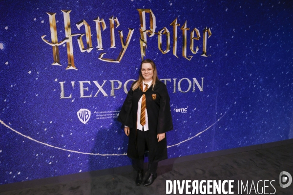 Exposition harry potter a paris