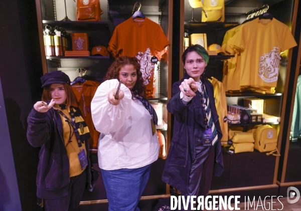 Exposition harry potter a paris