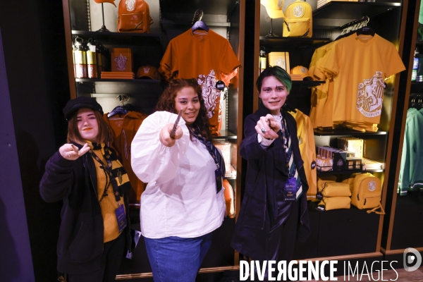Exposition harry potter a paris