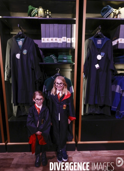 Exposition harry potter a paris