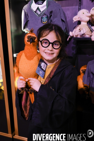 Exposition harry potter a paris