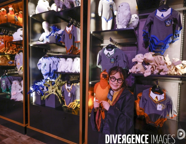 Exposition harry potter a paris