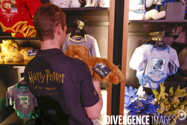 Exposition harry potter a paris