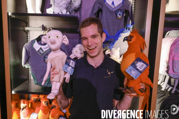 Exposition harry potter a paris