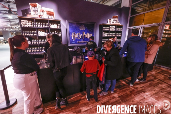Exposition harry potter a paris