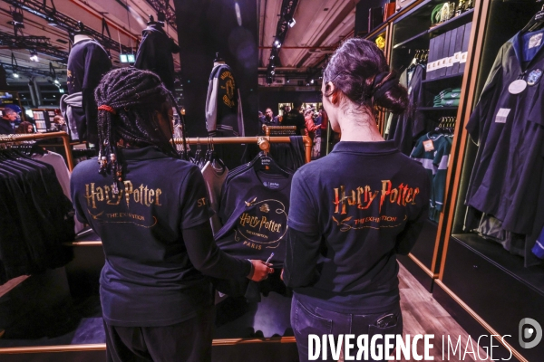 Exposition harry potter a paris