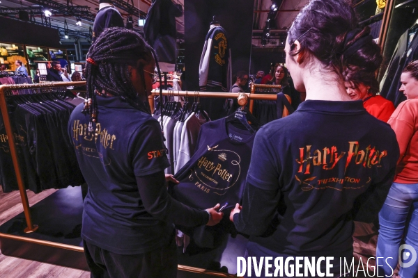 Exposition harry potter a paris