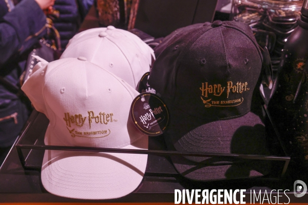 Exposition harry potter a paris