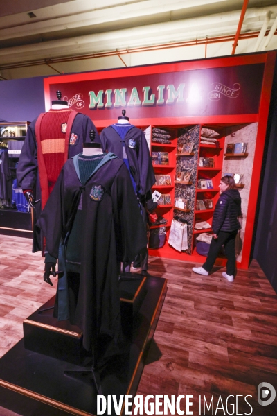 Exposition harry potter a paris