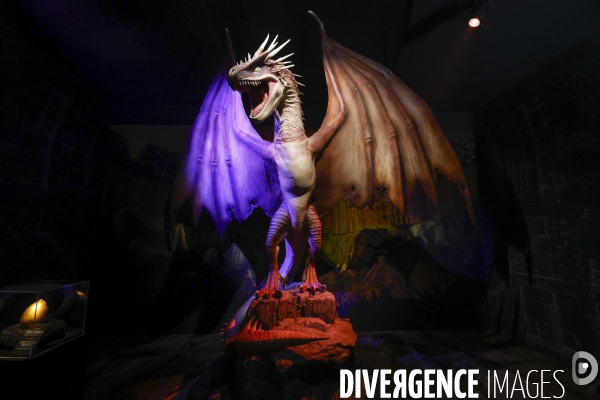 Exposition harry potter a paris