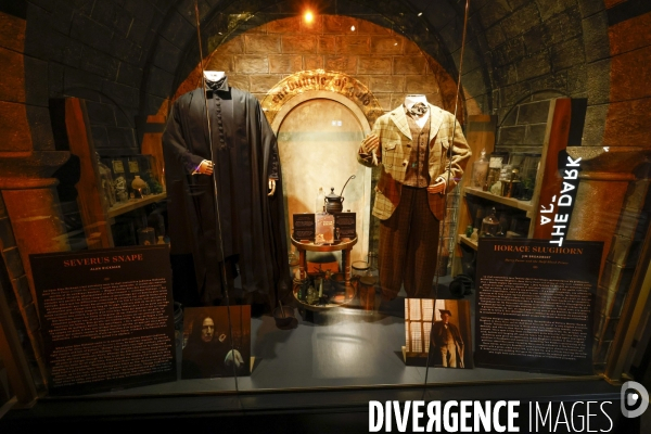 Exposition harry potter a paris