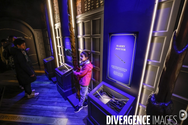 Exposition harry potter a paris