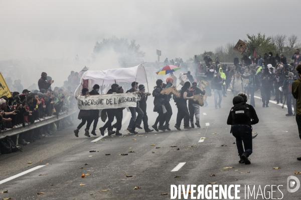 Manifestation contre le projet d autoroute A69, dans le Tarn, entre Toulouse et Castres.