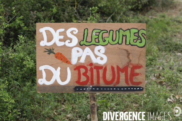 Manifestation contre le projet d autoroute A69, dans le Tarn, entre Toulouse et Castres.