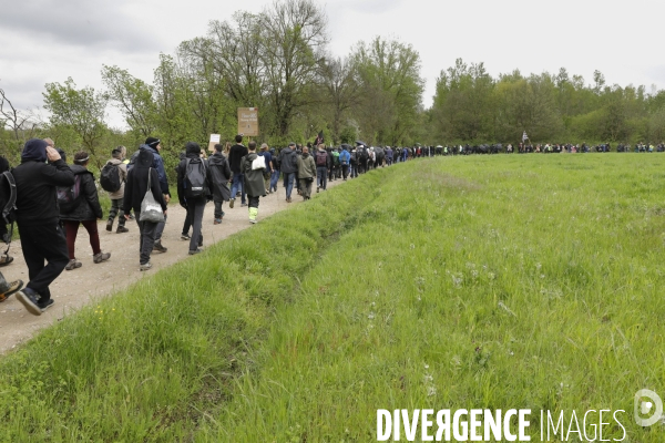 Manifestation contre le projet d autoroute A69, dans le Tarn, entre Toulouse et Castres.