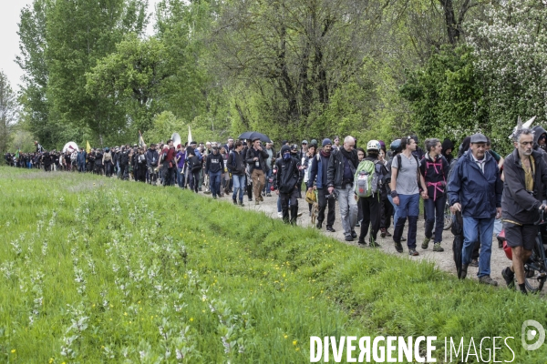 Manifestation contre le projet d autoroute A69, dans le Tarn, entre Toulouse et Castres.