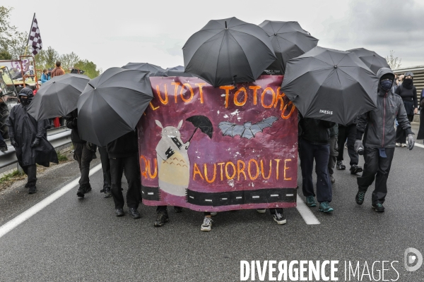 Manifestation contre le projet d autoroute A69, dans le Tarn, entre Toulouse et Castres.