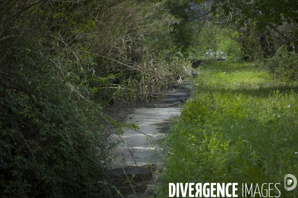 Sècheresse dans les Pyrénées Orientales