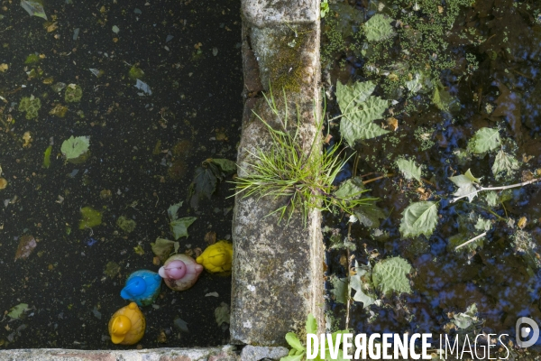 Sècheresse dans les Pyrénées Orientales