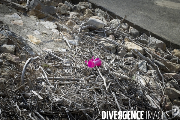 Sècheresse dans les Pyrénées Orientales