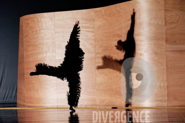 Enemy in the Figure / William Forsythe / CCN - Ballet de l Opéra national du Rhin