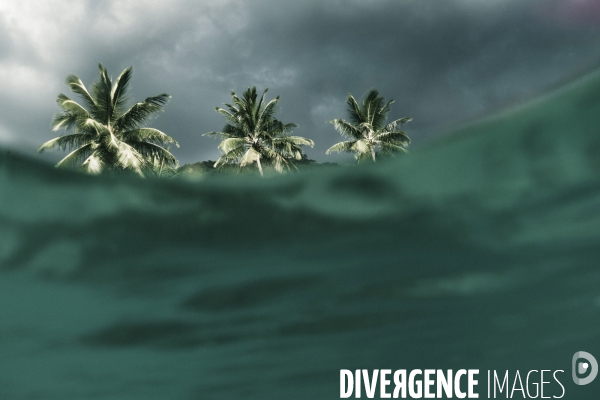 Submergence #1