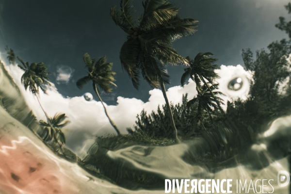 Submergence #1