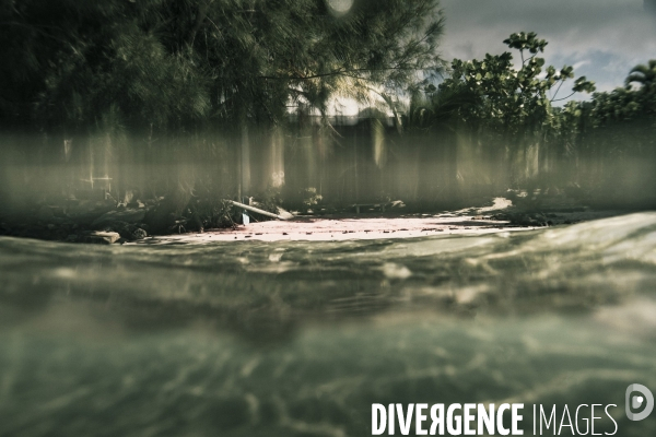Submergence #1