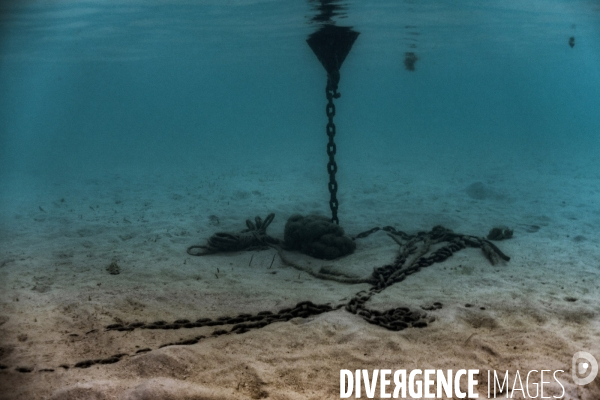 Submergence #1