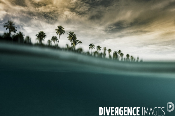 Submergence #1