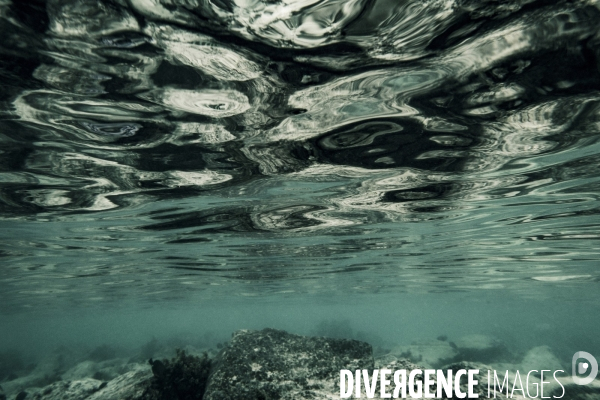 Submergence #1