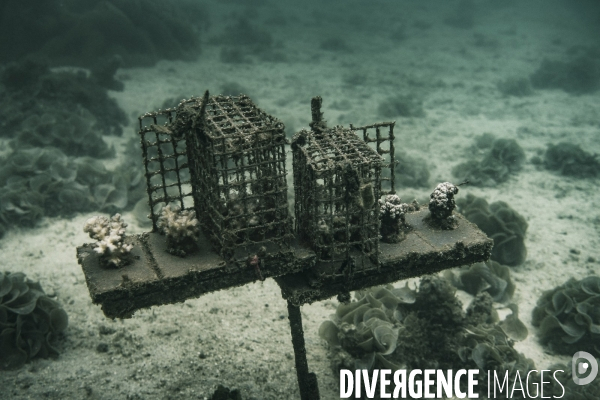 Submergence #1