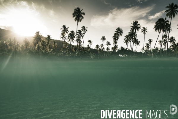 Submergence #1
