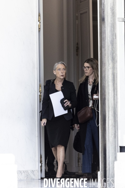 Conseil des ministres à l elysée.