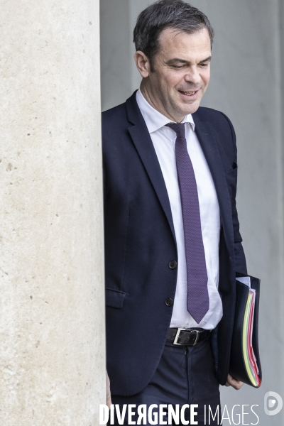 Conseil des ministres à l elysée.