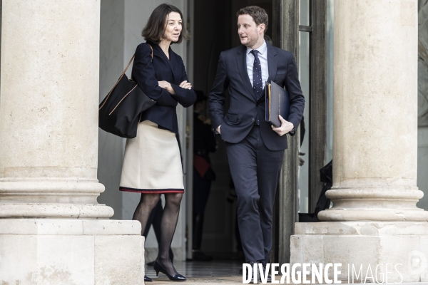 Conseil des ministres à l elysée.