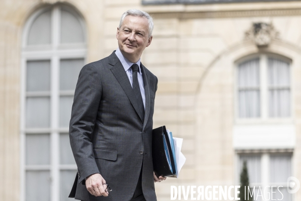 Conseil des ministres à l elysée.