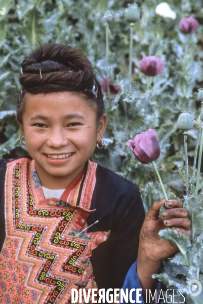 L opium au laos