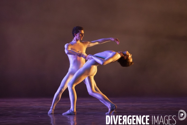 The dante project de wayne mcgregor